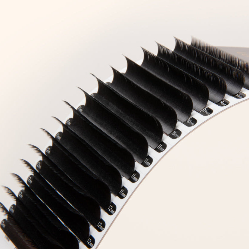 Pestañas Chelsea de Volumen/Clásicas 0.10