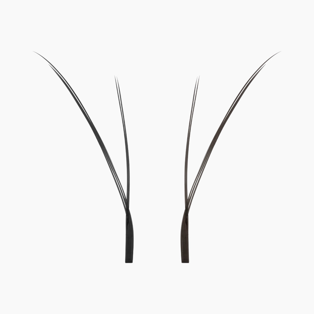Primer plano de dos abanicos individuales de extensiones de pestañas Kitten negras sobre fondo blanco, mostrando sus puntas finas y fibras ligeras.